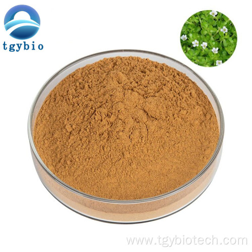 Wholesale High Quality Portulaca Extract Powder